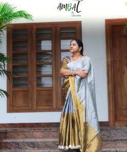 Double tone Raga tissue saree
