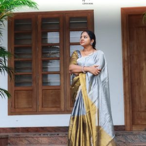 Double tone Raga tissue saree