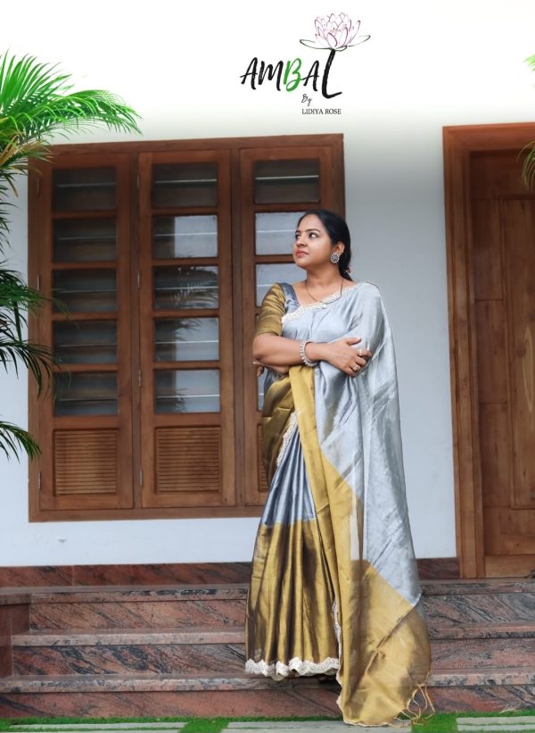 Double tone Raga tissue saree
