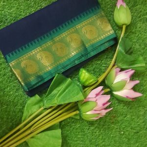 Traditional Narayanipattu Cotton Saree with Blouse