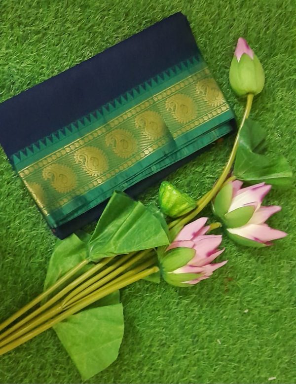 Traditional Narayanipattu Cotton Saree with Blouse